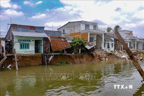 Quảng Ngãi đề nghị Chính phủ hỗ trợ khắc phục khẩn cấp sạt lở bờ biển