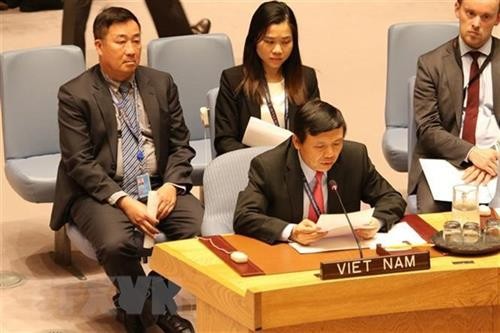越南参加联合国安理会：维护所有国家的正当利益