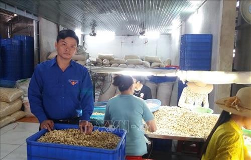 Chàng trai Nguyễn Văn Thắng khởi nghiệp thành công với mô hình sản xuất và chế biến hạt điều