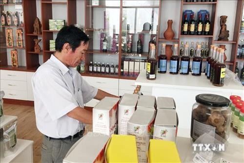 Ninh Thuận tạo liên kết bền vững trong sản xuất và tiêu thụ sản phẩm
