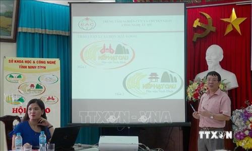 Phát triển thương hiệu, nâng cao tính cạnh tranh của nếp hạt cau Ninh Bình