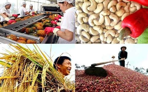 越南主要农产品已销往160个国家和地区