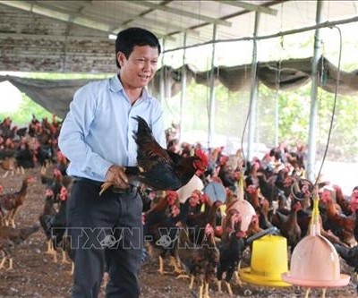Nhà nông Đặng Xuân Trinh với “bí quyết” kiếm tiền tỉ