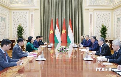 越南国家副主席邓氏玉盛同多国领导举行双边会晤
