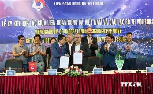 越南与德国展开合作 推动足球发展