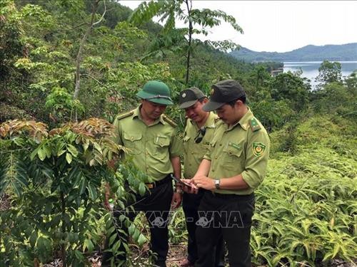 Quảng Nam ứng dụng công nghệ trong quản lý, bảo vệ rừng