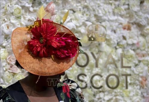 Ngắm nhìn những chiếc mũ độc đáo tại lễ hội đua ngựa Royal Ascot