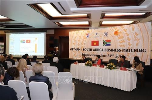 越南企业赴南非寻求出口机会