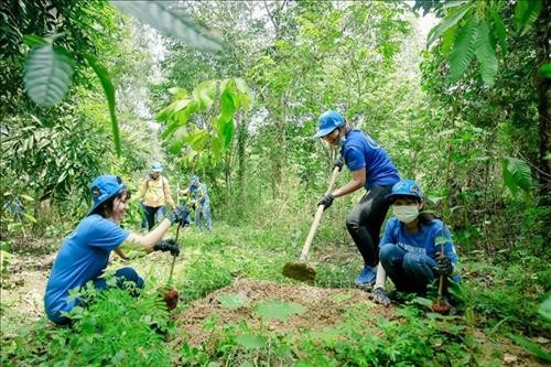 Trồng rừng tạo thêm sinh cảnh cho đàn voi tự nhiên tại Đồng Nai