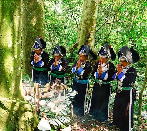 Độc đáo lễ cúng rừng của đồng bào Pa Dí ở Mường Khương