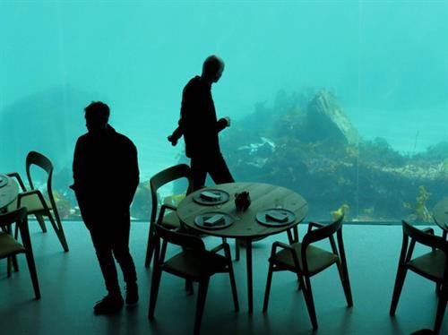 Bữa ăn diệu kỳ dưới lòng đại dương tại nhà hàng Under ở Na Uy