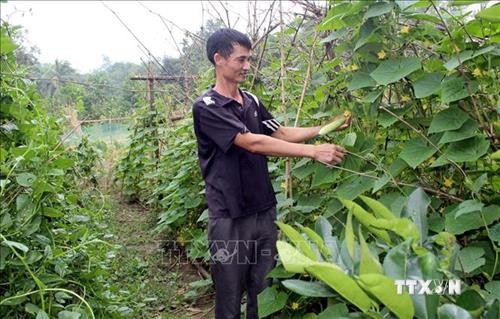 Xây dựng chuỗi cung ứng thực phẩm an toàn tại huyện miền núi Thường Xuân