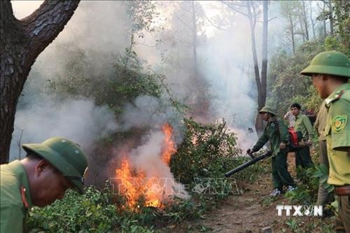 Cháy rừng ở Hà Tĩnh: Đám cháy lại bùng phát tại xã Xuân Hồng