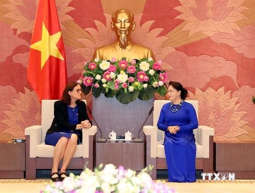 国会主席阮氏金银：为《越南与欧盟自由贸易协定》的生效实施做好准备