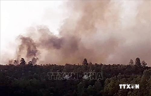 Dập tắt hoàn toàn cháy rừng keo ở huyện Hiệp Đức