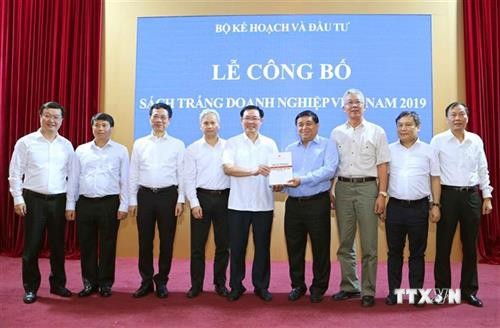 越南首次发布《企业白皮书》