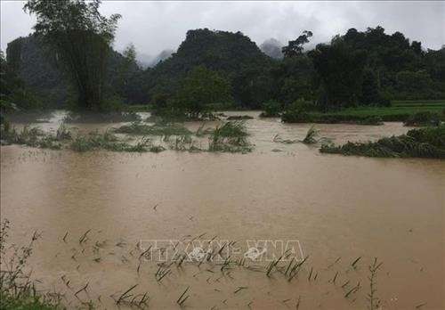 Cao Bằng: Mưa lớn gây ngập hơn 900 ngôi nhà, 1.000 ha lúa và hoa màu