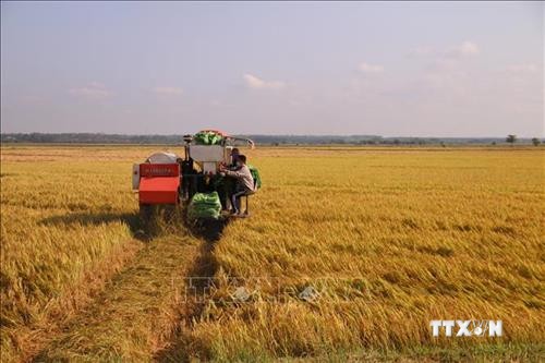 Ban hành Nghị quyết 53 về giải pháp khuyến khích, thúc đẩy doanh nghiệp đầu tư vào nông nghiệp