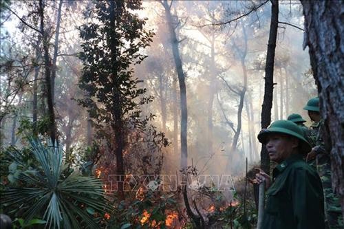 Cháy rừng ở miền Trung - nhìn lại yếu tố tự nhiên và xã hội