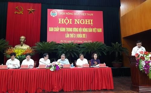 Hội Nông dân Việt Nam tổ chức tốt các hoạt động dịch vụ, tư vấn, dạy nghề, hỗ trợ nông dân