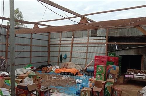 Giông lốc làm 1 người chết, hơn 600 căn nhà bị sập và tốc mái ở An Giang