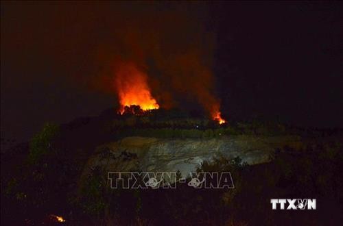 Dồn sức dập lửa trong vụ cháy rừng phòng hộ ở Bình Định 