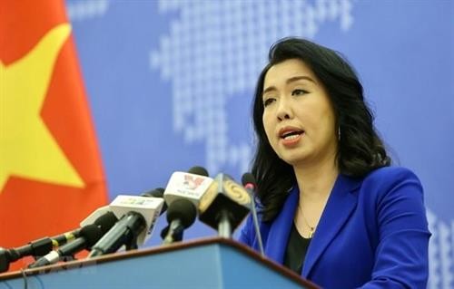 越南外交部发言人：越南将海洋垃圾视为紧迫的全球性问题