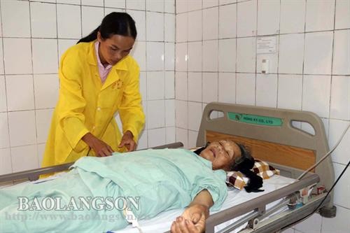 Lạng Sơn: Báo động tai nạn lao động khi thu hoạch hoa hồi