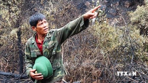 Chuyện về người hùng mở đường băng cản lửa cứu rừng Đậu Văn Tiến