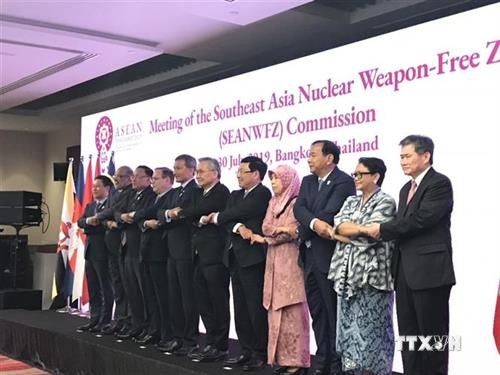 越南出席东南亚无核武器区条约委员会会议