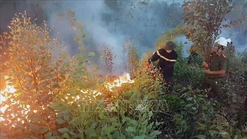 Nỗ lực khống chế cháy rừng tại huyện Phú Hòa