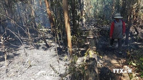 Hỗ trợ người dân khắc phục hậu quả do cháy rừng