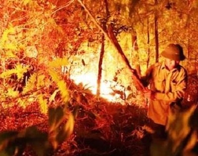 Rạng sáng 9/7, vụ cháy rừng bùng phát trở lại tại núi Nầm ở Hà Tĩnh cơ bản được khống chế