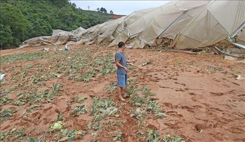 Lũ quét gây thiệt hại nặng nề cho vùng sản xuất nông nghiệp công nghệ cao ở Lâm Đồng
