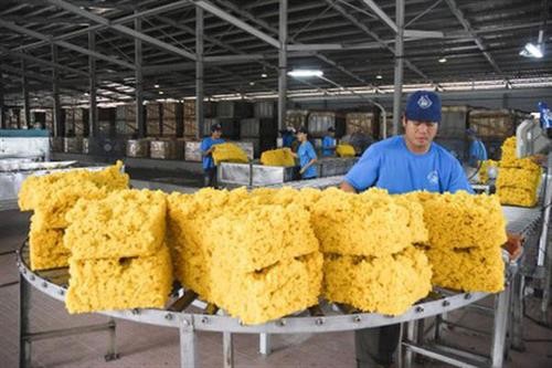 2019年前7个月越南橡胶出口额同比增长4.5%