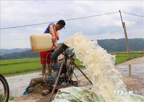 Nông dân Đắk Lắk chạy đua với thời gian để cứu diện tích lúa bị ngập
