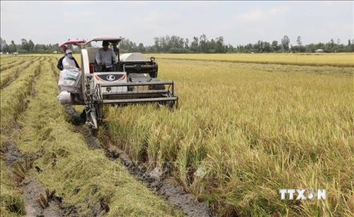Quảng Nam hỗ trợ và thu hút doanh nghiệp đầu tư vào nông nghiệp