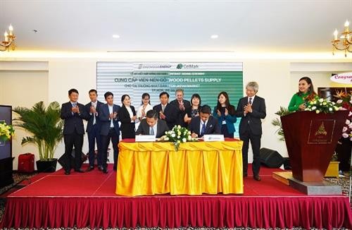 越南与瑞典公司合作向日本出口生物质固体成型燃料