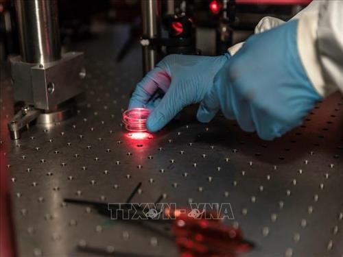 Đột phá trong sử dụng sinh học quang tử để chẩn đoán sớm HIV