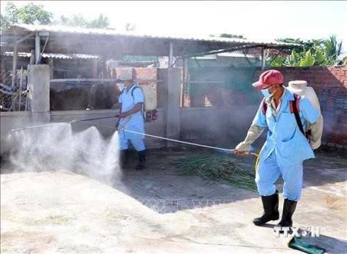 Bình Thuận đẩy mạnh tuyên truyền, thay đổi nhận thức của cộng đồng về bệnh sốt xuất huyết