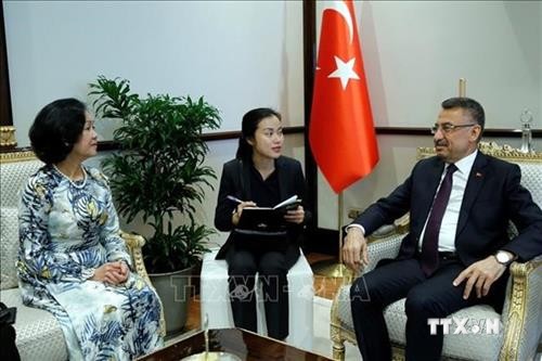 中央民运部部长张氏梅对土耳其进行工作访问