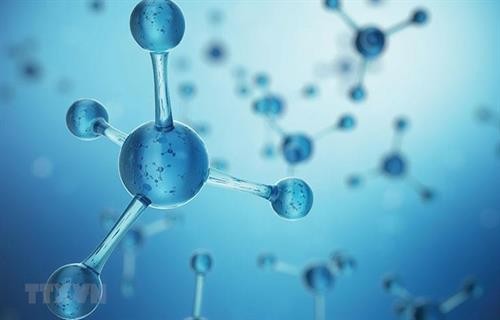 Phương pháp điều trị ung thư mới bằng hạt nano cho kết quả khả quan