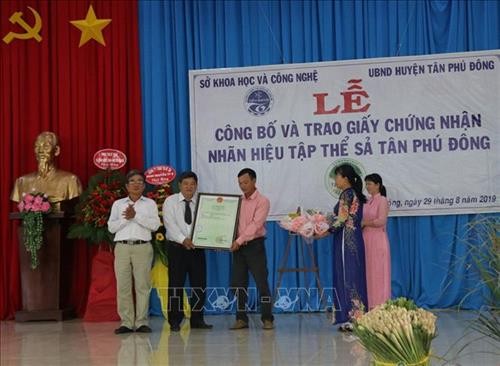Cấp chứng nhận nhãn hiệu tập thể cho cây Sả Tân Phú Đông, Tiền Giang