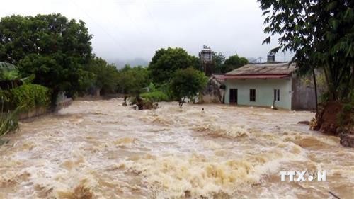 第三号台风：越南政府总理阮春福指导各部委和地方政府立即开展救灾工作