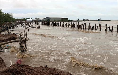 坚江省遭强降雨袭击 经济损失可达逾770亿越盾