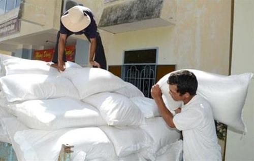 越南政府总理阮春福指示向德农省缺粮户发放救济大米