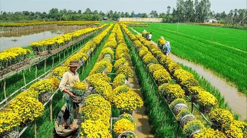 越南同塔省推动旅游与农业价值结合发展