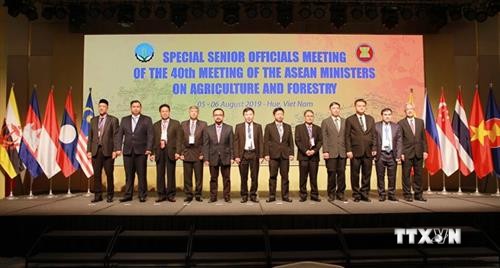 第18届东盟与中日韩农林部长会议在越南承天顺化省举行