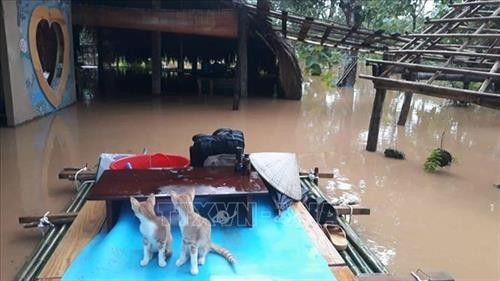 Đồng Nai tiếp tục di dời 1.200 hộ dân ven sông do lũ lên cao