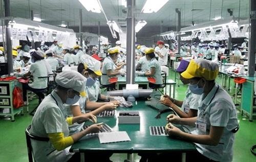 2019年前9月永福省新成立企业同比增长95%